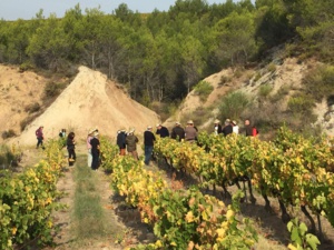 Crowdfunding viticole : les souscripteurs à la découverte de leurs parcelles Crowdfunding viticole : les souscripteurs à la découverte de leurs parcelles