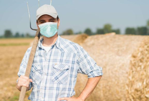 Impact et conséquences de la pandémie sur les agriculteurs français