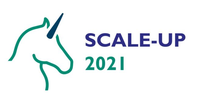 Scale-Up 2021, le programme qui propulse les startups à l’international grâce à des experts de la Silicon Valley	