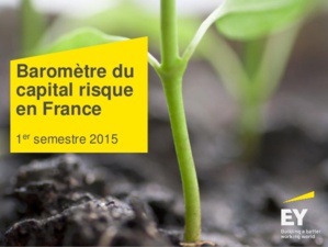 Capital risque : la Fintech dans le top 5 des investissements par secteurs