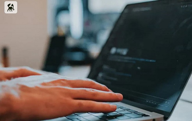 Green-Got lance « Check » : 30 secondes pour savoir si vos données bancaires ont fuité Green-Got lance « Check » : 30 secondes pour savoir si vos données bancaires ont fuité