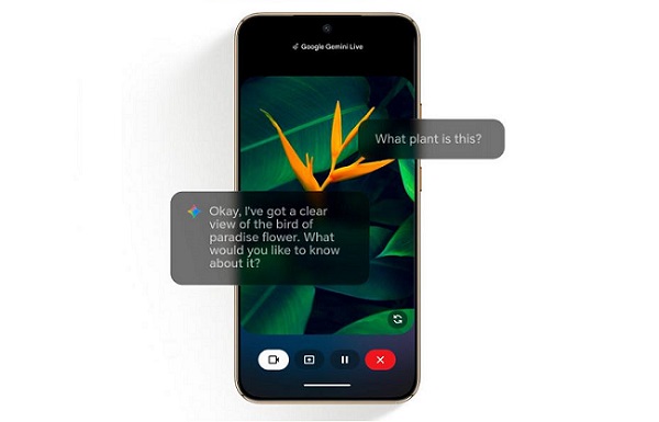 Pourquoi les smartphones remplacent-ils tant d'outils quotidiens ?