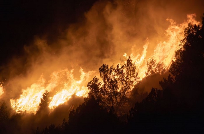 Incendies : 1 000 cartes de paiement générées par jour