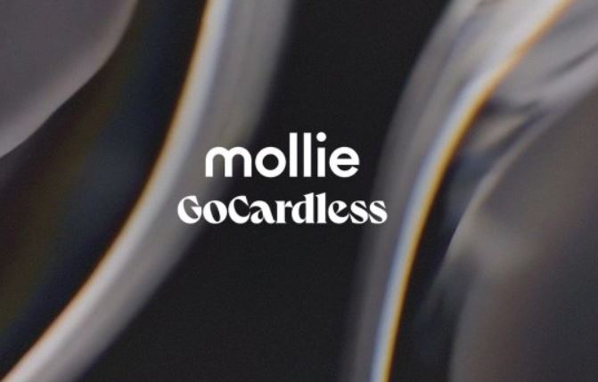 Mollie et GoCardless s’allient pour former un leader européen des paiements et des services financiers