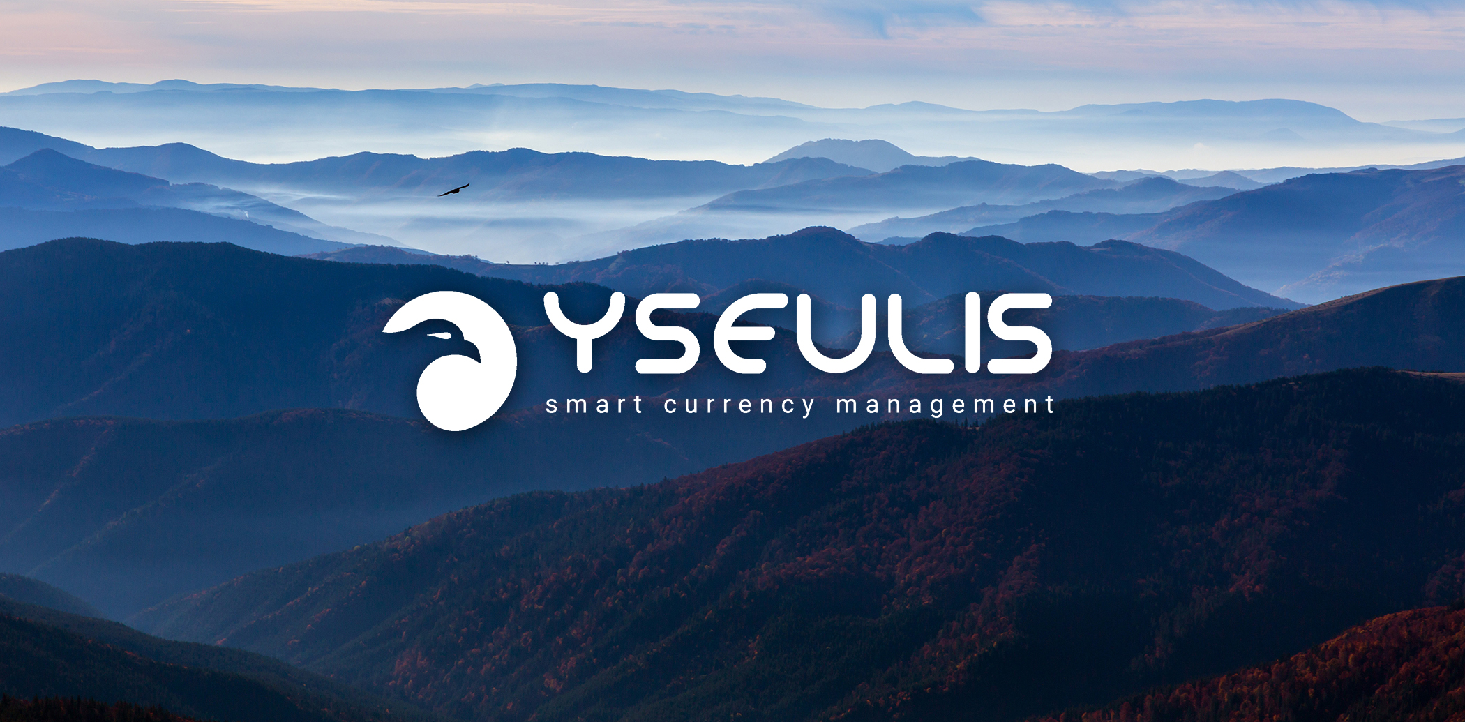 YSEULIS automatise la gestion des risques de change