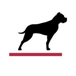 GP Bullhound dévoile le top 10 des tendances Tech pour 2019