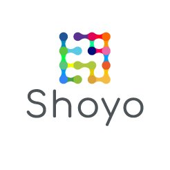 Shoyo, le nouvel acteur français du travail à distance pour les acteurs financiers