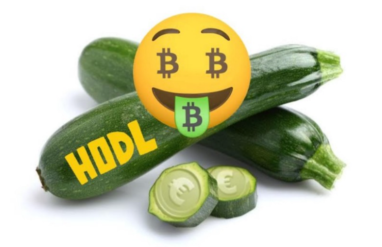 Bitcoin : Réserve de valeur ou simple courgette monétaire ?