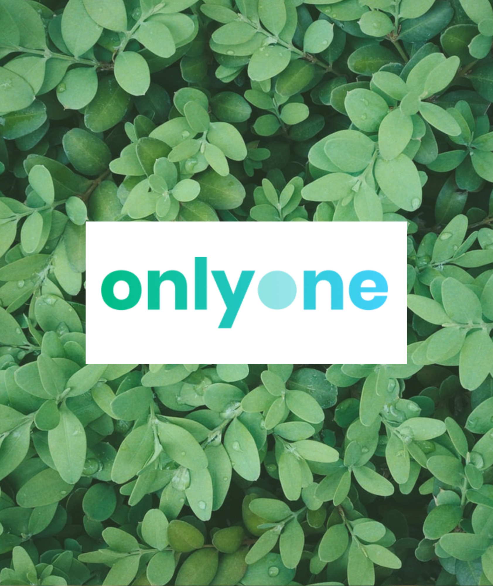 Comment les néobanques vertes veulent changer l'impact de notre argent Comment les néobanques vertes veulent changer l'impact de notre argent