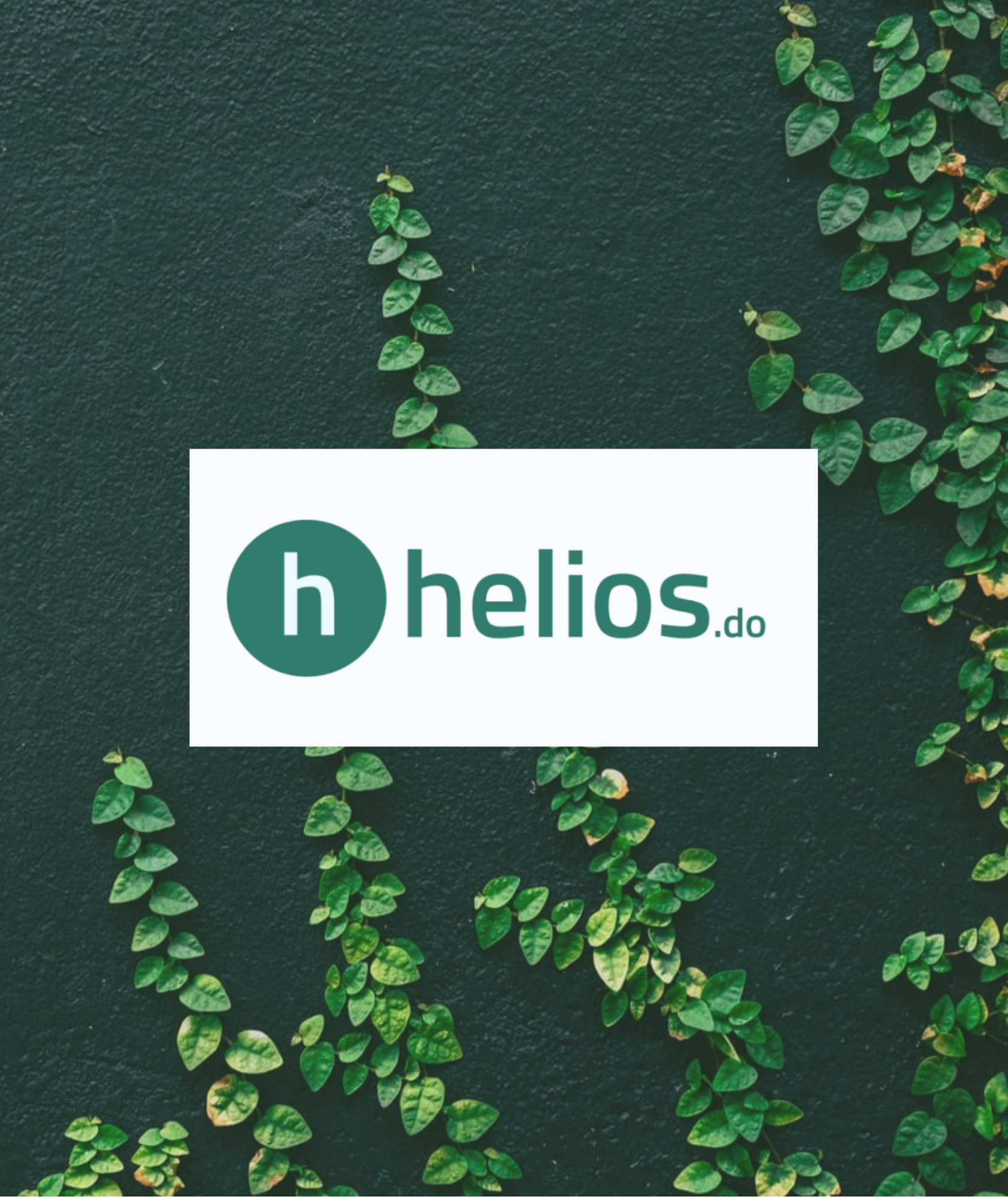 Comment les néobanques vertes veulent changer l'impact de notre argent Comment les néobanques vertes veulent changer l'impact de notre argent