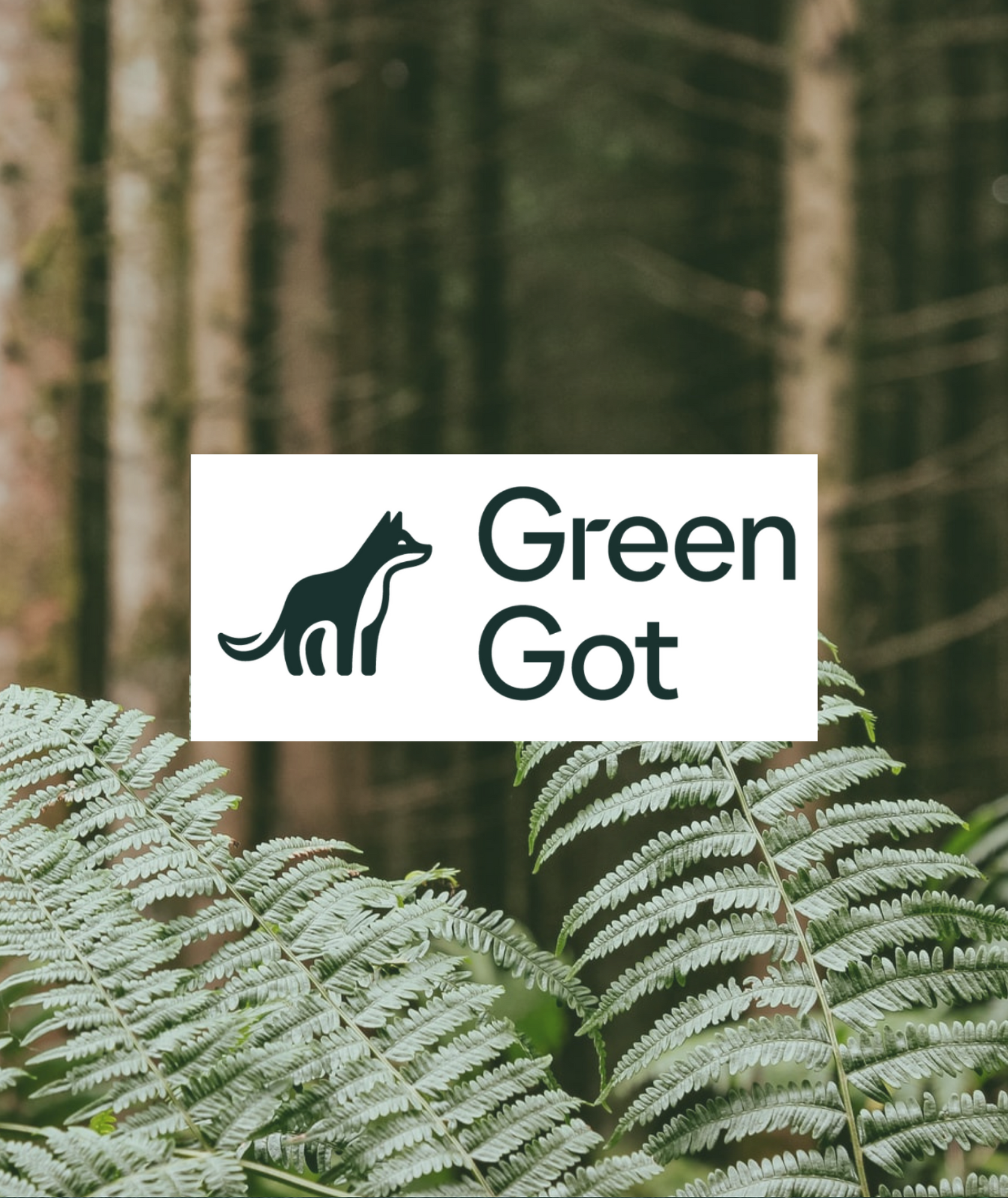 Comment les néobanques vertes veulent changer l'impact de notre argent Comment les néobanques vertes veulent changer l'impact de notre argent