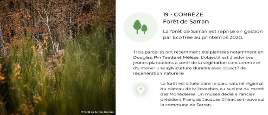 Accurafy 4 et EcoTree lancent un dispositif pionnier de l’investissement  responsable dans le private equity Accurafy 4 et EcoTree lancent un dispositif pionnier de l’investissement  responsable dans le private equity