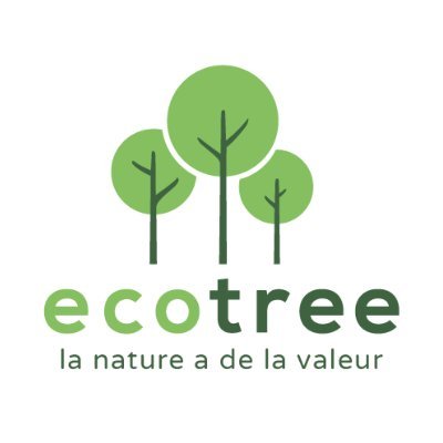 La société de gestion forestière EcoTree lève 12 M€ pour accroître son impact 