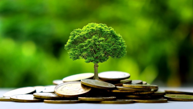 Le nouveau plan d’épargne "avenir climat" en faveur de la transition écologique
