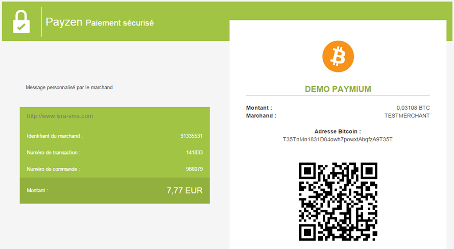 Bitcoins : PayZen intègre la crypto-monnaie à son arsenal de moyens de paiement