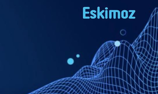 Assurances : quels acteurs se démarquent sur les moteurs de recherche ? 