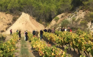 Crowdfunding viticole : les souscripteurs à la découverte de leurs parcelles