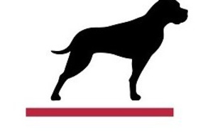 GP Bullhound dévoile le top 10 des tendances Tech pour 2019