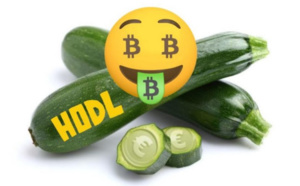 Bitcoin : Réserve de valeur ou simple courgette monétaire ?
