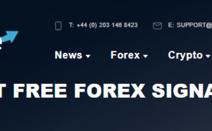 Forex Trading - Everything You Should Know About It
