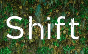Shift Technology boucle un tour de table de série D de 220 M$ mené par Advent International