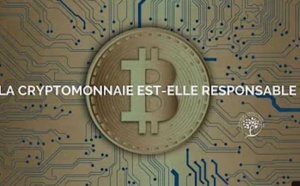 La Cryptomonnaie est-elle responsable ?