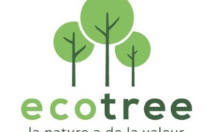 La société de gestion forestière EcoTree lève 12 M€ pour accroître son impact 