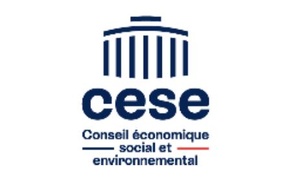 Le CESE s’accorde pour définir le cadre de déploiement de l'IA au service de l’intérêt général