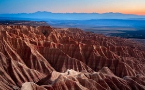 Les dirigeants misent sur l’adaptabilité pour assurer le succès de leurs entreprises