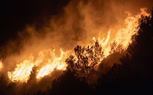 Incendies : 1 000 cartes de paiement générées par jour